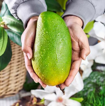 广西百色金煌芒10斤装（现摘现发） 商品图0