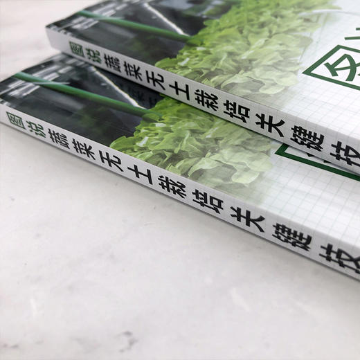 图说蔬菜无土栽培关键技术 商品图3