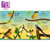 【中商原版】Young Zoologist：Birds 小动物家：飞鸟 英文原版 进口图书 儿童科普绘本 动物知识百科图画书 精装精品故事书 商品缩略图2