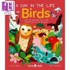 【中商原版】Young Zoologist：Birds 小动物家：飞鸟 英文原版 进口图书 儿童科普绘本 动物知识百科图画书 精装精品故事书 商品缩略图0
