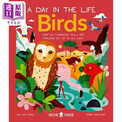 【中商原版】Young Zoologist：Birds 小动物家：飞鸟 英文原版 进口图书 儿童科普绘本 动物知识百科图画书 精装精品故事书 商品图0