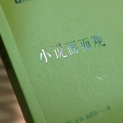 小说面面观 经典写作课 E.M.福斯特 著 文学 商品图3