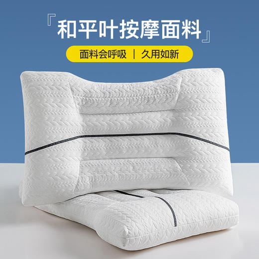 护颈椎助睡眠枕头整头枕芯家用一对装6儿童3小学生宿舍专用决明子 商品图3