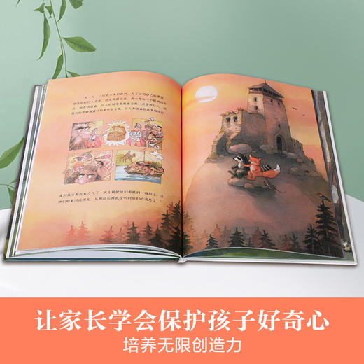 对岸有什么? 精品绘本 欧洲版的《小马过河》亲子阅读 情商培养 消除误解 2-3-4岁 乐乐趣精品绘本 商品图4