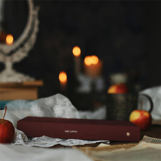 奥兰多（伍尔夫文集）【上海译文】 商品图4