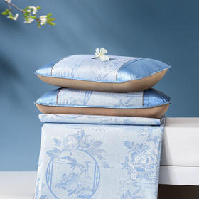 富安娜凉席冰丝席 提花夏凉席子1.2x2米单人宿舍夏天软凉席可折叠两件套