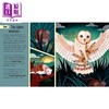【中商原版】Young Zoologist：Birds 小动物家：飞鸟 英文原版 进口图书 儿童科普绘本 动物知识百科图画书 精装精品故事书 商品缩略图3
