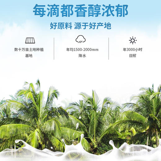 海珊源鲜榨椰子汁245g*10礼盒装 商品图5