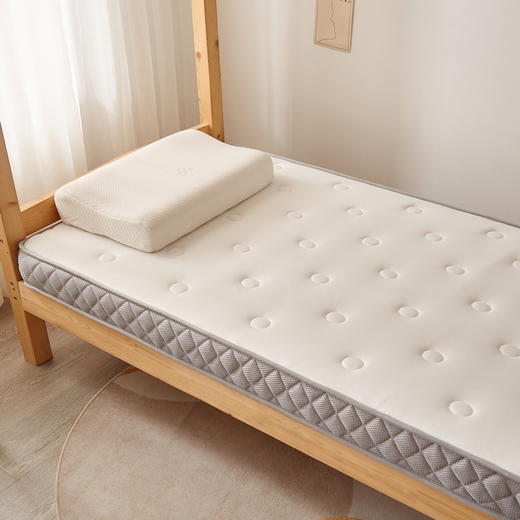 床垫软垫家用折叠乳胶垫被宿舍学生褥子单人海绵床褥租房专用硬垫 商品图1