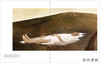 Andrew Wyeth: Life and Death / 安德鲁·怀斯：生与死 商品缩略图3
