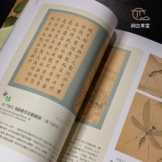 【绝版好书】草蟲捉迷藏 商品图4