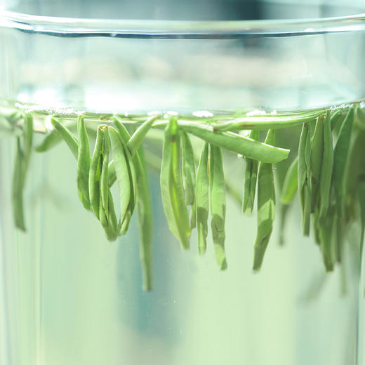 【2026新茶上市】泥巴哥7星雀舌绿茶明前青叶甘露125g*2袋 商品图3