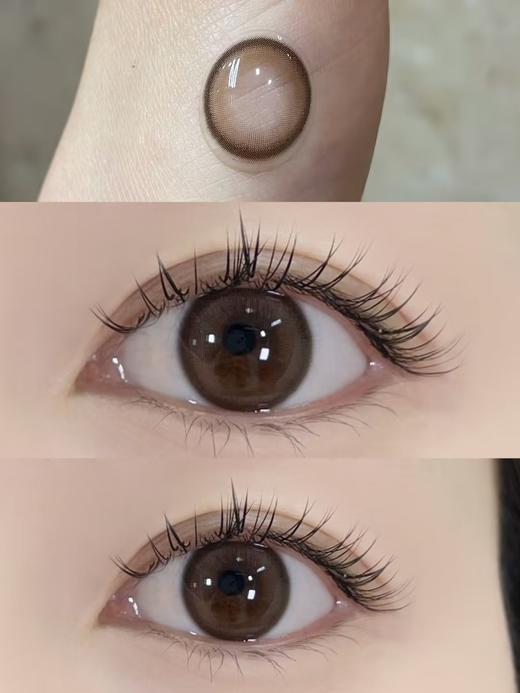 Holydeer旗下 ·H05Blue&H06Brown｜14.2mm白狮参考着色中等直径  日抛 商品图10