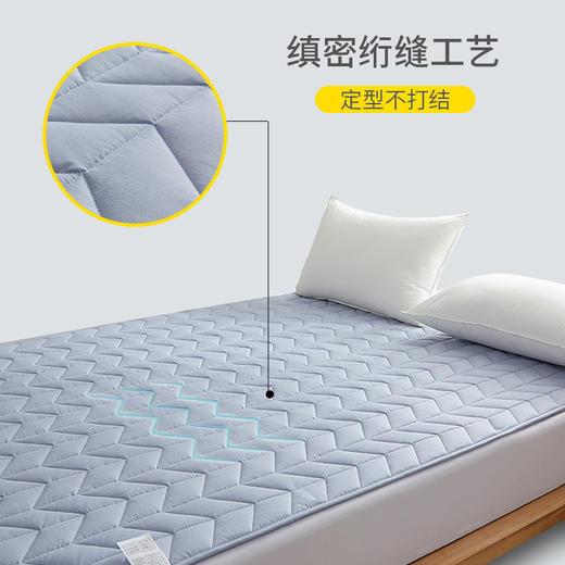 床垫软垫床褥垫褥子铺床双人家用保护垫薄款垫褥防滑学生宿舍垫被 商品图1
