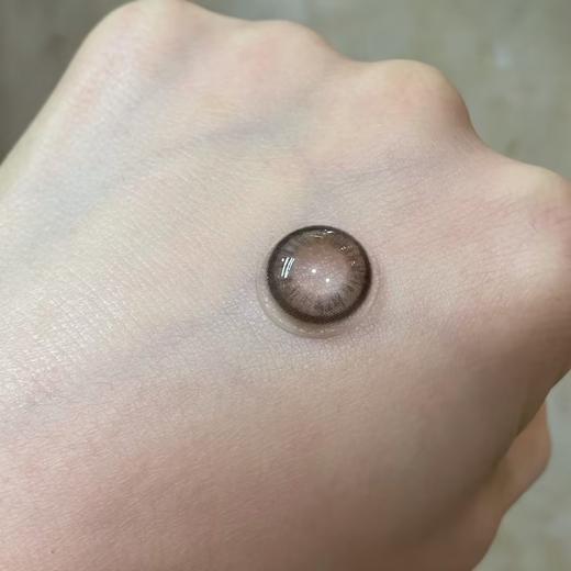 Holydeer旗下 ·H03Gray&H04Brown｜14.2mm白狮参考着色中小直径  日抛 商品图9