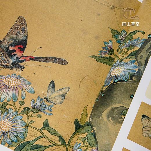 【绝版好书】草蟲捉迷藏 商品图3