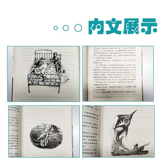 老人与海 商品图3