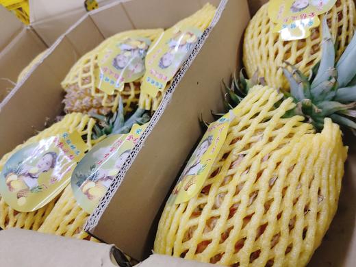 海南金钻凤梨2个（拼团） 商品图1