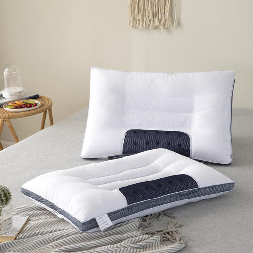 决明子枕头单人双人助睡眠护颈椎枕学生枕芯家用一对装 商品图1