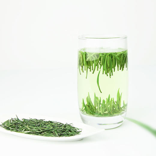 【2026新茶上市】泥巴哥7星雀舌绿茶明前青叶甘露125g*2袋 商品图4