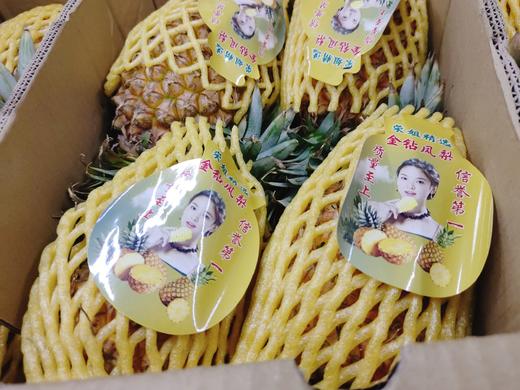 海南金钻凤梨2个（拼团） 商品图2