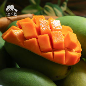 生态椰香芒果 | 合作生产 *Eco-Yexiang mango | Coproduction