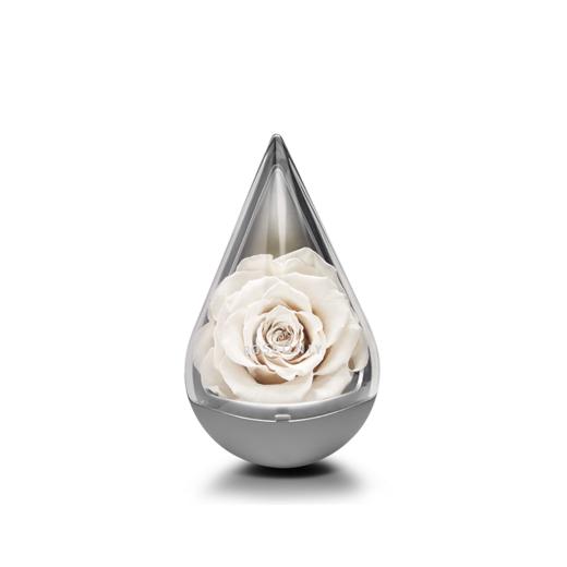 【星座水滴】ROSEONLY诺誓  永生玫瑰 星座经典 水滴玫瑰 红色  十二星座守护色 送女友爱人生日礼物 商品图8