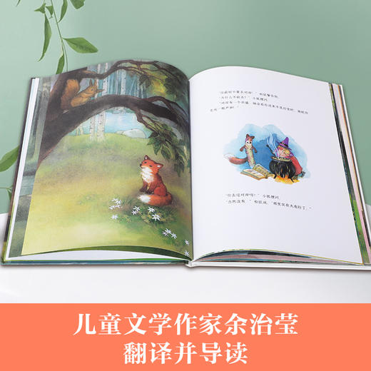 对岸有什么? 精品绘本 欧洲版的《小马过河》亲子阅读 情商培养 消除误解 2-3-4岁 乐乐趣精品绘本 商品图1