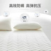 加厚乳胶床垫软垫子家用薄款床褥子榻榻米学生宿舍单人专用可折叠 商品缩略图4