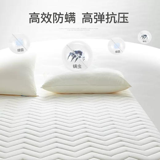 加厚乳胶床垫软垫子家用薄款床褥子榻榻米学生宿舍单人专用可折叠 商品图4