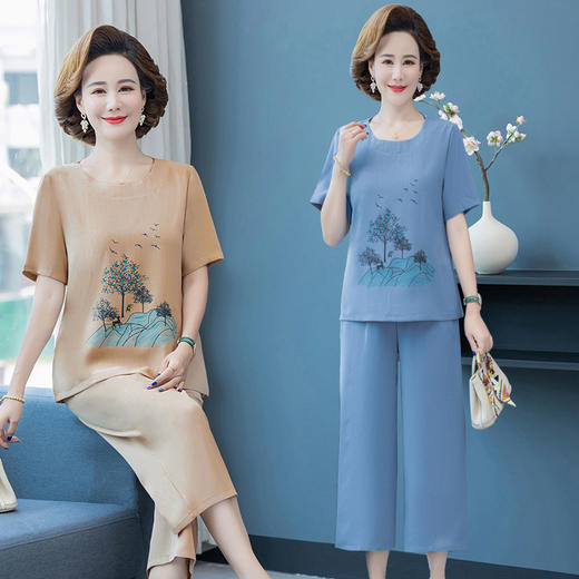 洋气薄款短袖上衣，中老年衬衫女气质套装TYWF-A333CCQ2208 商品图0