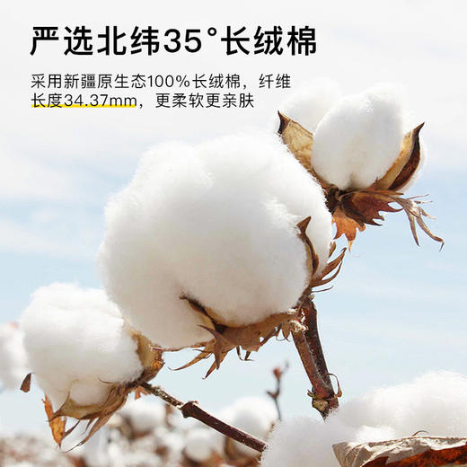 全棉枕头软低枕芯不塌陷助睡眠护颈椎整头家用一对装3儿童6小学生 商品图3