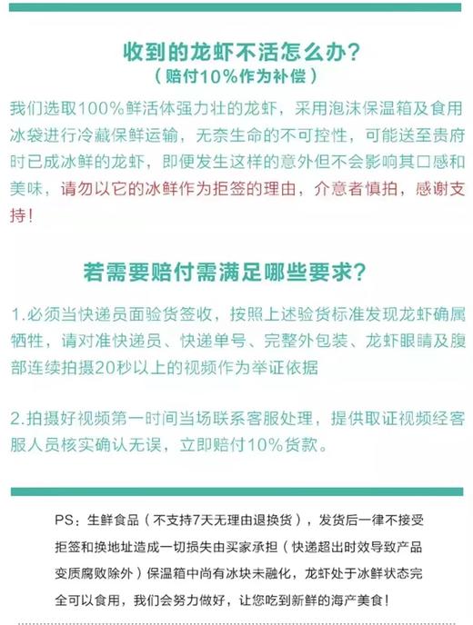 2026年鲜活大龙虾加拿大波士顿鲜活野生大龙虾，2只装 商品图5
