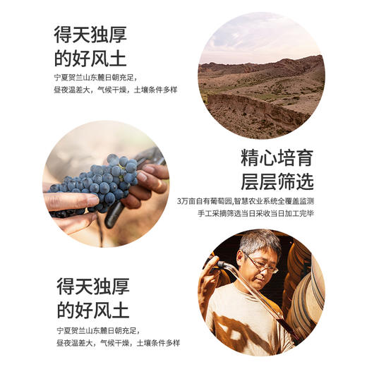 西鸽小酌半干型桃红葡萄汽酒 商品图6