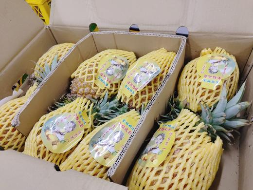 海南金钻凤梨2个（拼团） 商品图0