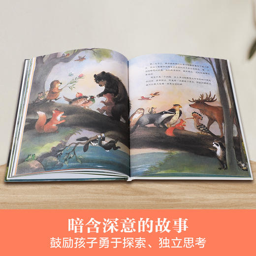 对岸有什么? 精品绘本 欧洲版的《小马过河》亲子阅读 情商培养 消除误解 2-3-4岁 乐乐趣精品绘本 商品图5