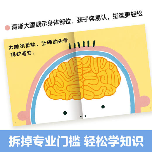 绝版归来！《身体大发现》15册 身体启蒙绘本 商品图4