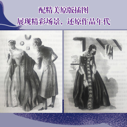 包法利夫人 商品图1