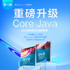 Java核心技术 卷I：开发基础（原书*12版）书+课 商品缩略图10