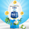 海珊源鲜榨椰子汁245g*10礼盒装 商品缩略图2