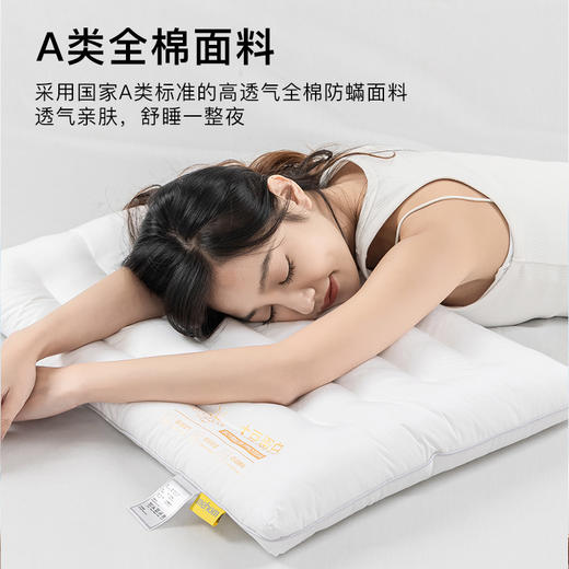 全棉枕头软低枕芯不塌陷助睡眠护颈椎整头家用一对装3儿童6小学生 商品图4