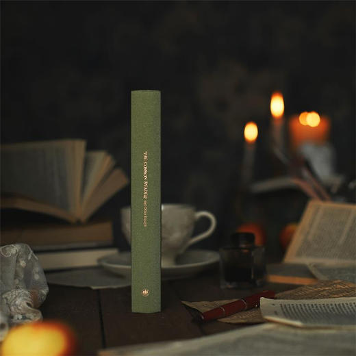 普通读者（伍尔夫文集）【上海译文】 商品图4