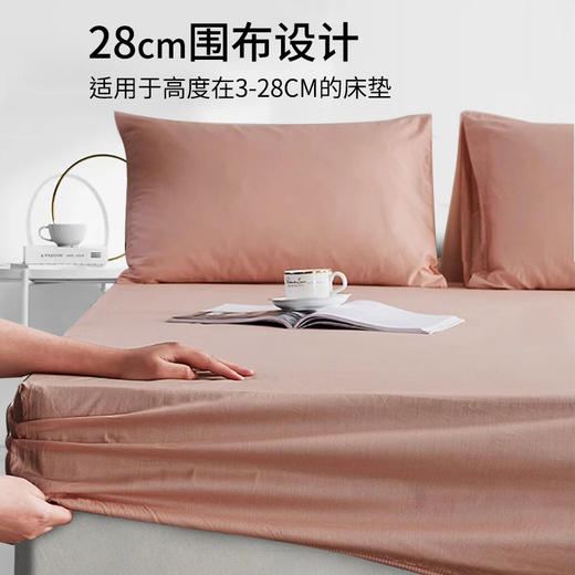 全棉床笠单件四季通用纯棉床罩单件席梦思床盖保护垫床垫保护套 商品图2