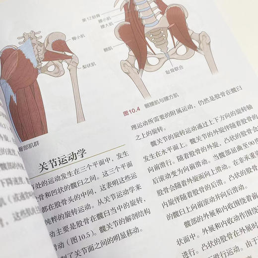 关节松动术实操指南 缓解疼痛 改善关节活动受限 提升运动功能  物理* 康复医学 商品图4