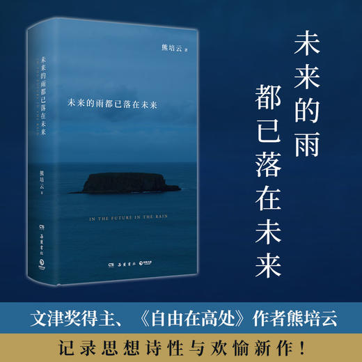 未来的雨都已落在未来 商品图0