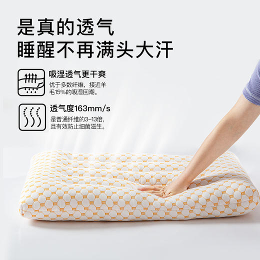 大豆纤维抗菌枕头护颈椎助睡眠超柔低宿舍矮枕芯家用一对装整头小 商品图2