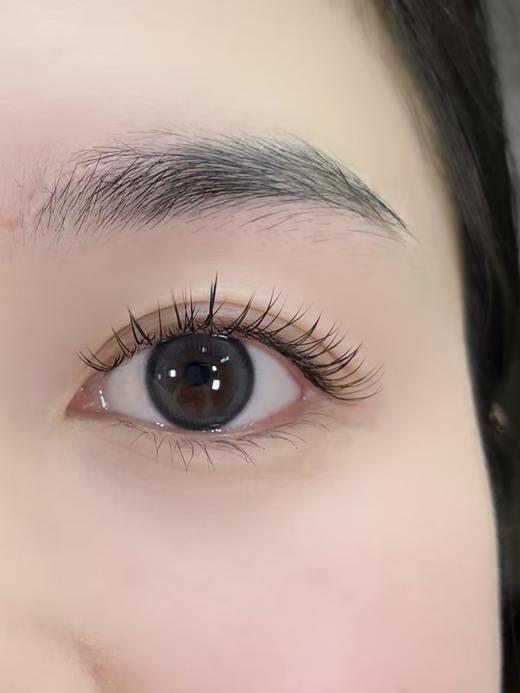 Holydeer旗下 ·H05Blue&H06Brown｜14.2mm白狮参考着色中等直径  日抛 商品图3