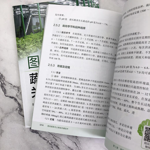 图说蔬菜无土栽培关键技术 商品图9
