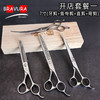 宠物剪刀开店套装一 直剪/弯剪/鱼骨剪/牙剪 意大利BRAVURAGROOM宠物美容剪 商品缩略图0