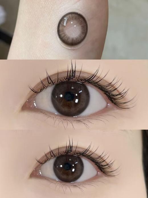 Holydeer旗下 ·H03Gray&H04Brown｜14.2mm白狮参考着色中小直径  日抛 商品图10